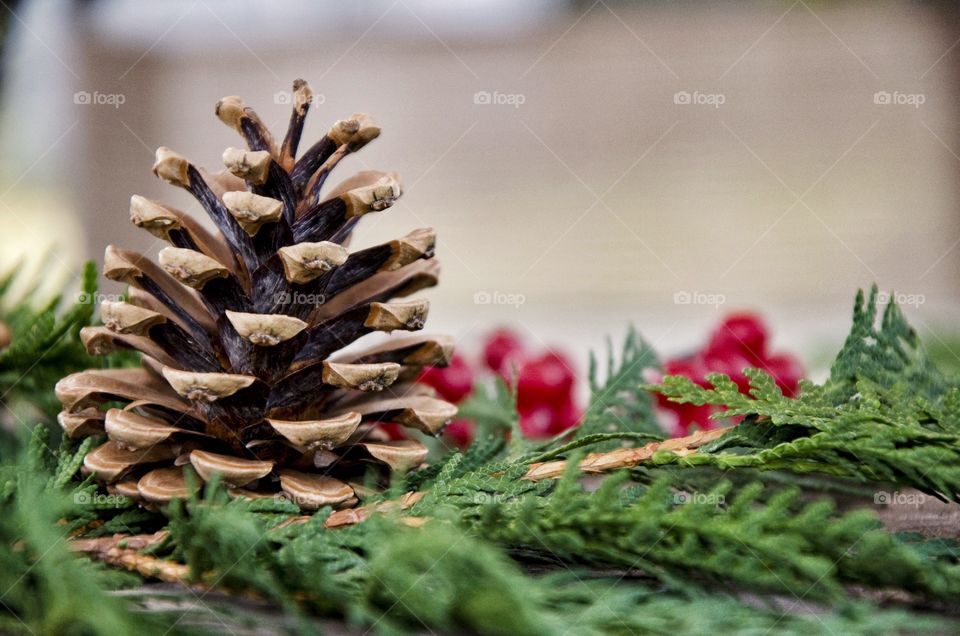 Acorn decoration. Decorate for the holidays using simple natural acorns