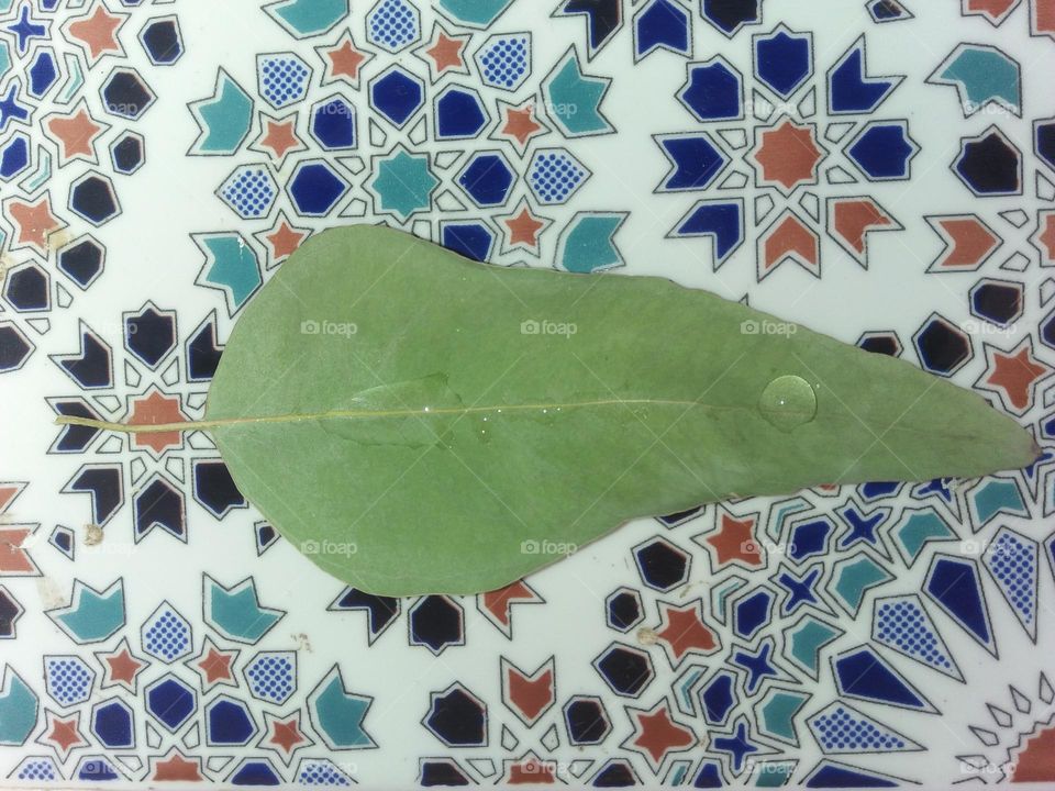 Beautiful leaf of a tree and droplets of water.