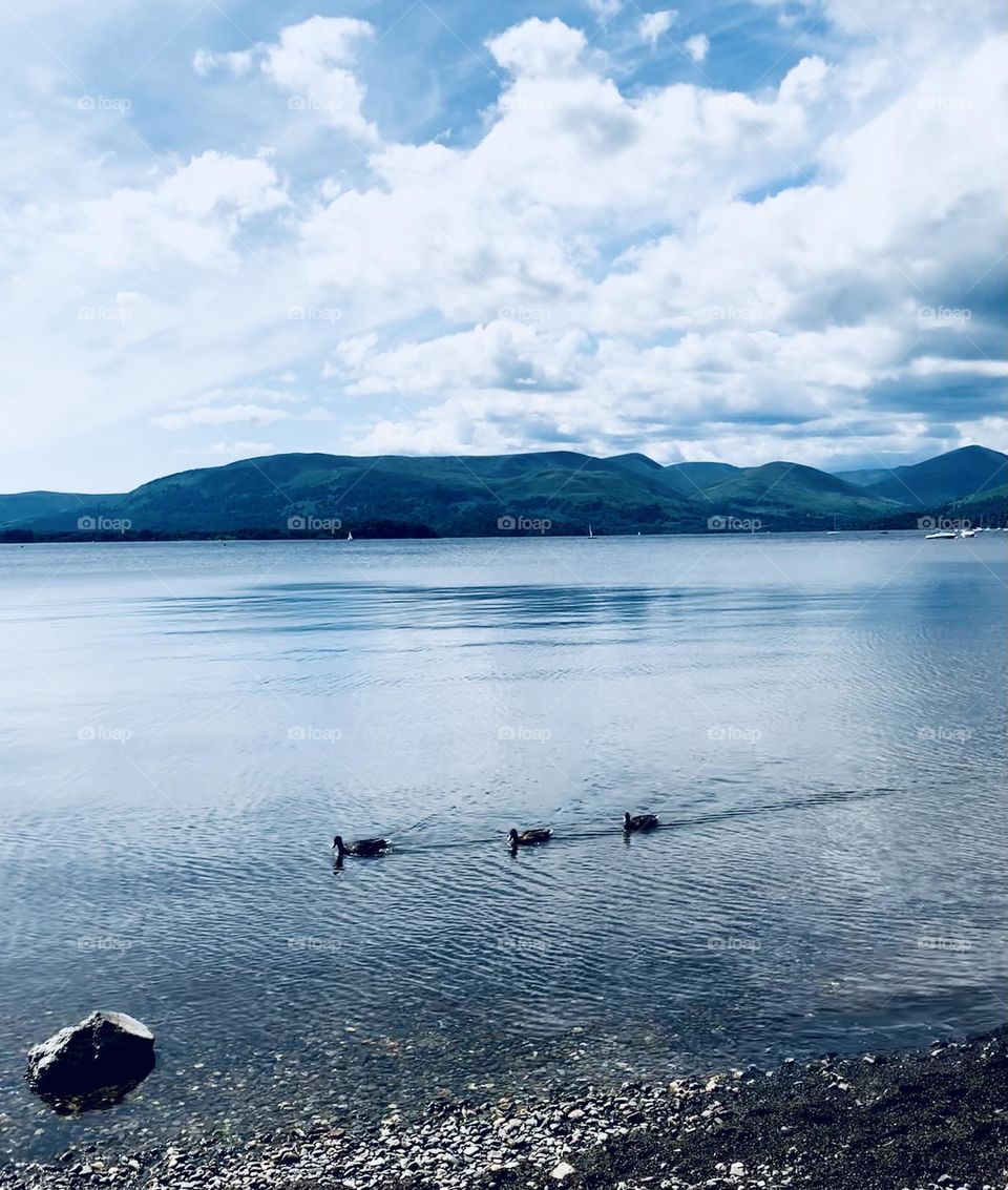 National park Loch Lomond 