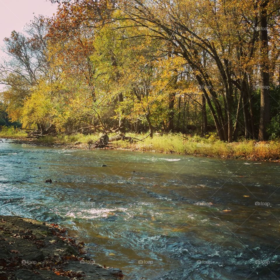Creek feeding into River