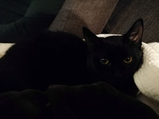 You know I'm cute