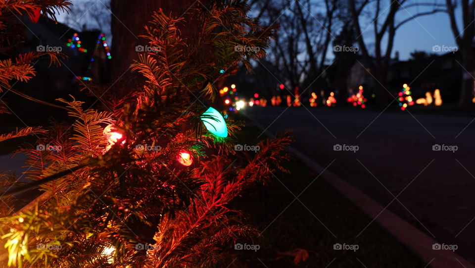 Festive lights in the town