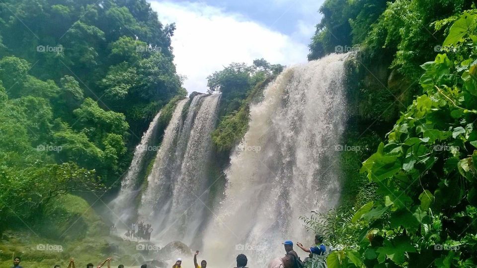 The waterfall 