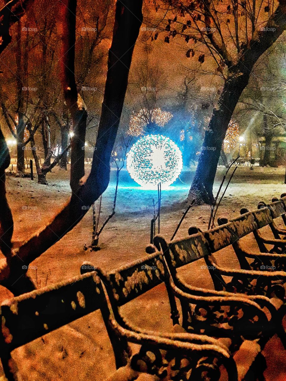 Winter in the park