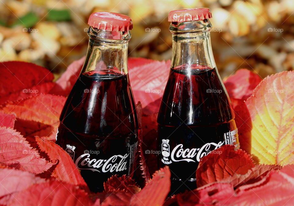 Enjoying colorful fall with coca-cola.