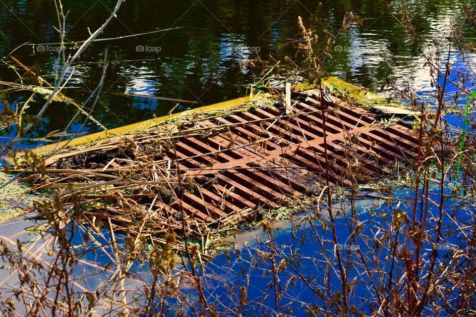 Rusted drain grate