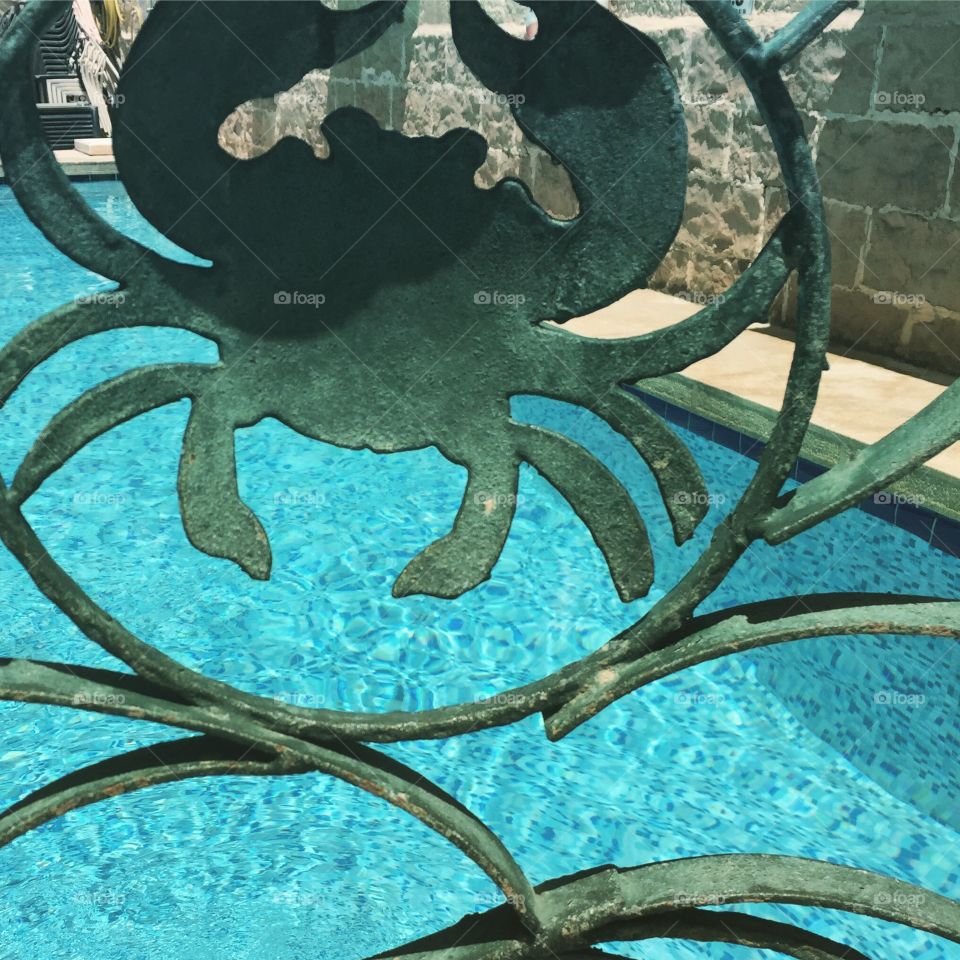 Crab and swimming pool