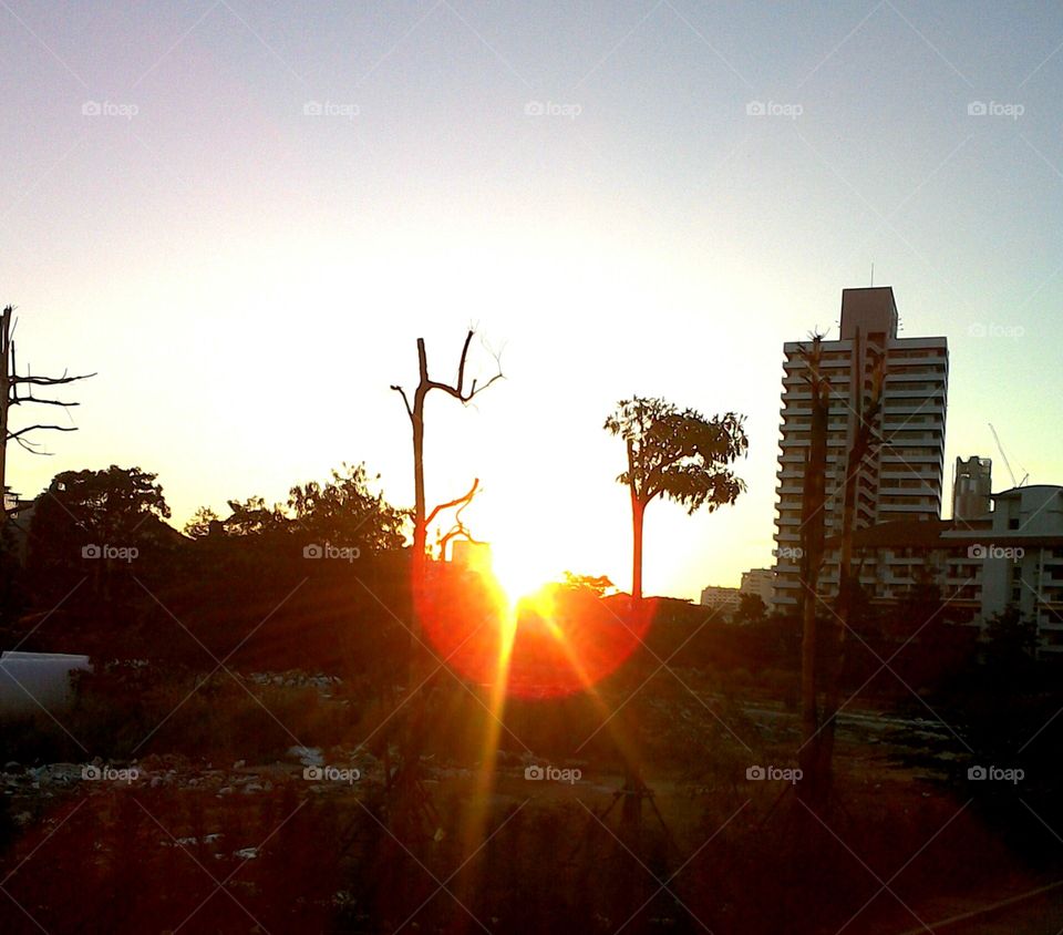 Sunset scenery with building and trees