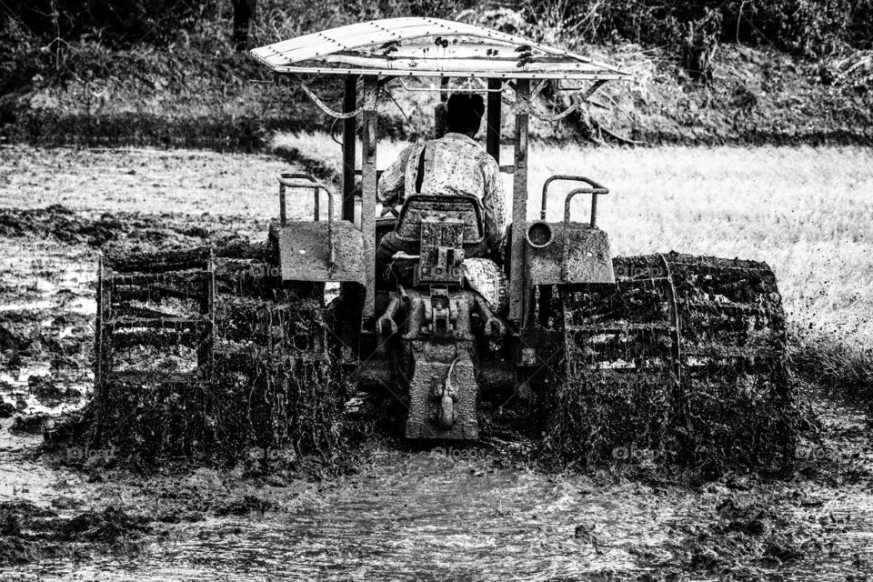A story of a farmer who never takes rest at any season..  Working  always to make his land cultivated... As you saw in picture he is doing ploughing process to turn the soil..  support agriculture