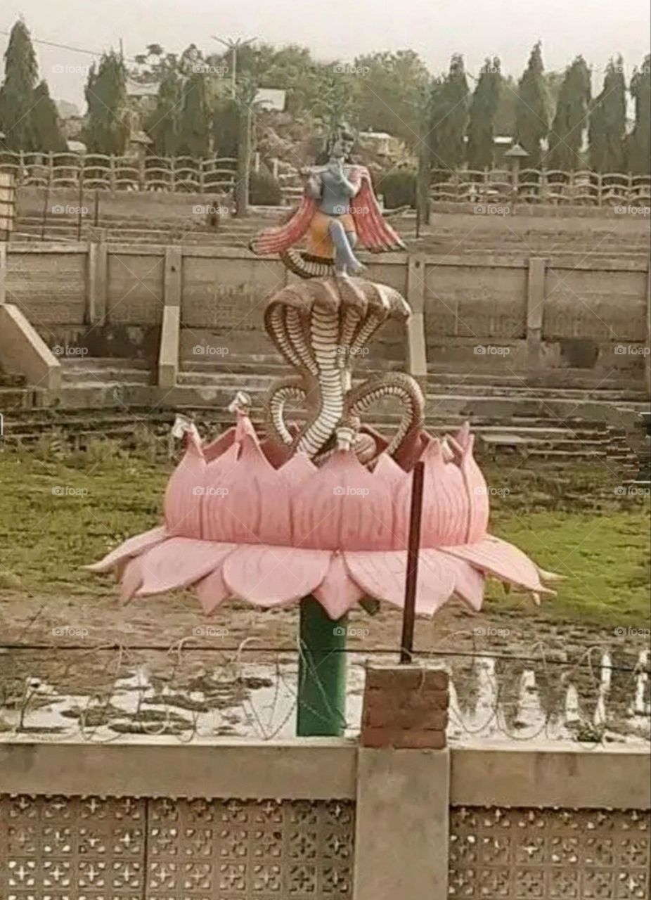 August 14, 2023 India. A most beautiful and attractive view in the garden.