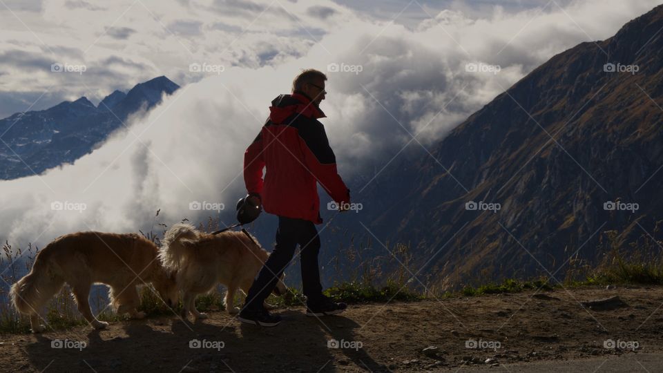 Man With Dogs.Swiss Alps