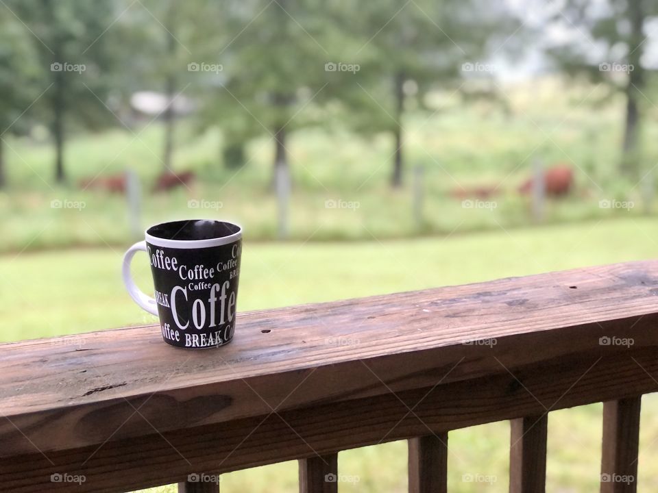 Morning coffee with the cows