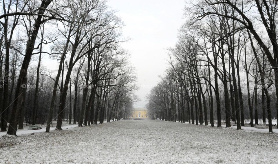 Зимний пейзаж/Pushkin