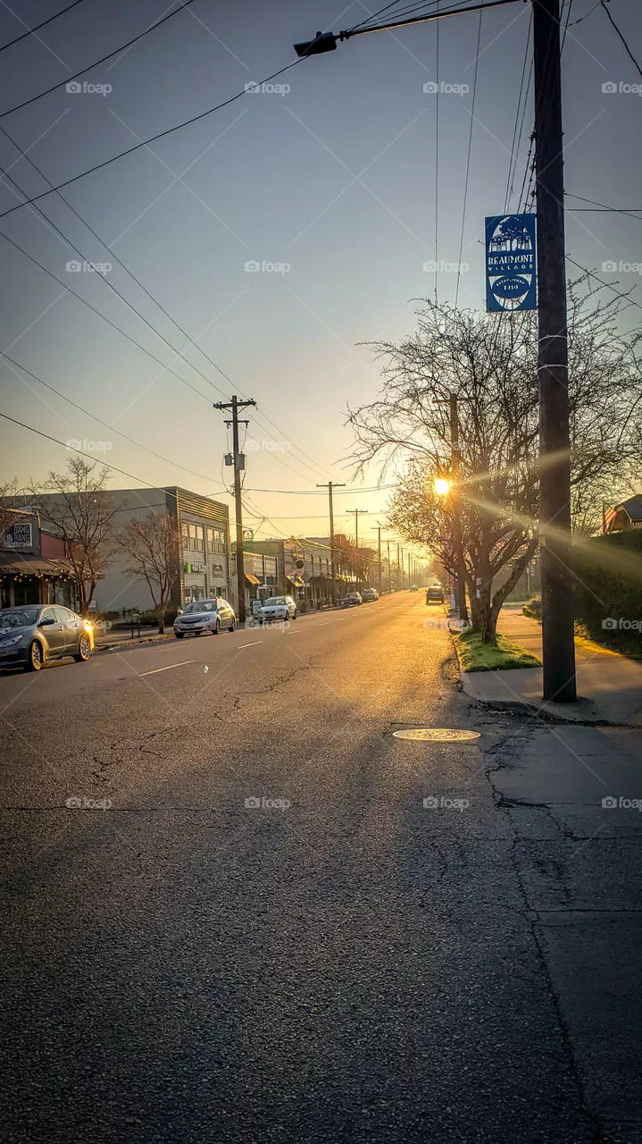 Portland