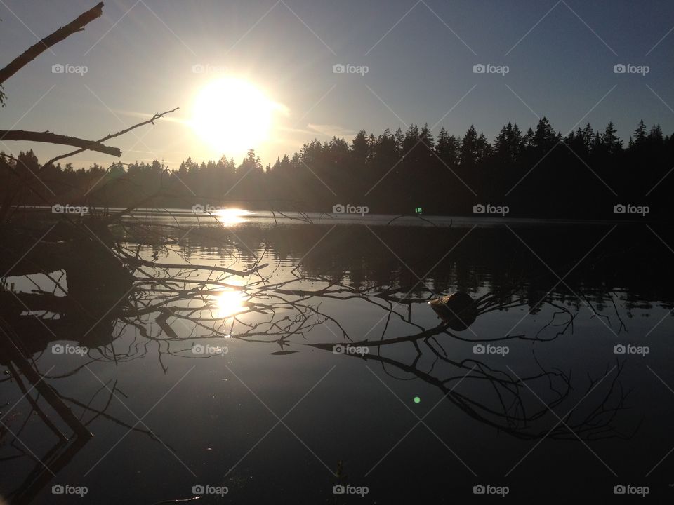 I love that there is still a complete wildness in the middle of our city. 