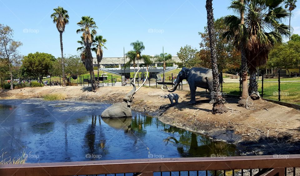 La Brea Tar Pits in Los Angeles, California.