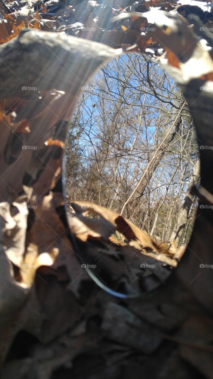 Late Winter Reflections