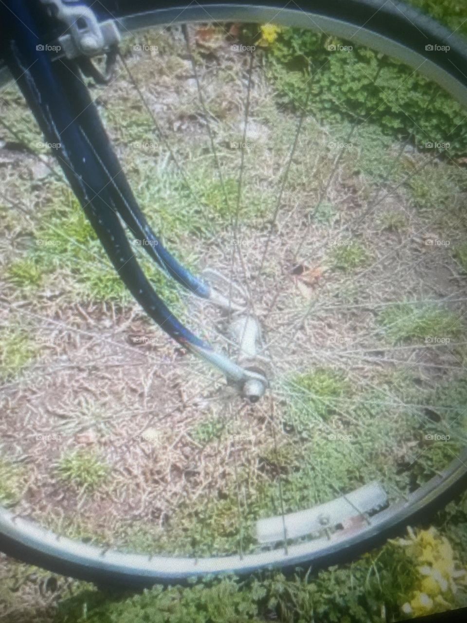 Photo of bike tire 