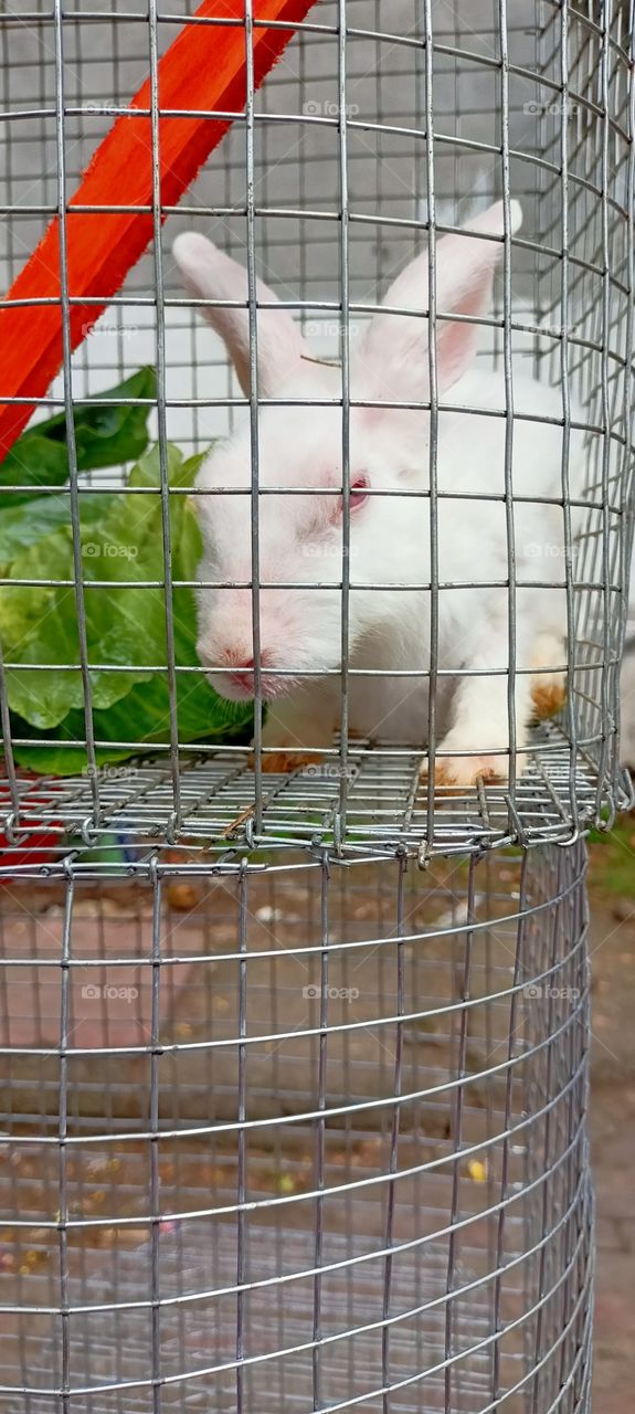 cuteness overload 😍😍😍