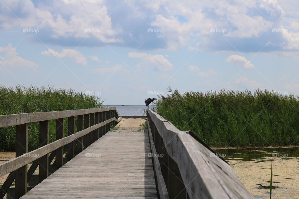 Water, Lake, Landscape, River, Sky