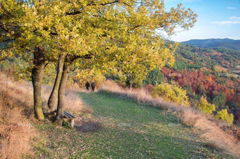 Autumn Landscape, Rhodopes Mountain, Bulgaria