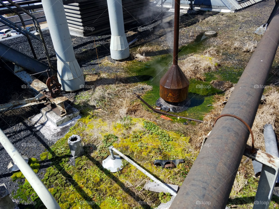 Life grows even when it shouldn't