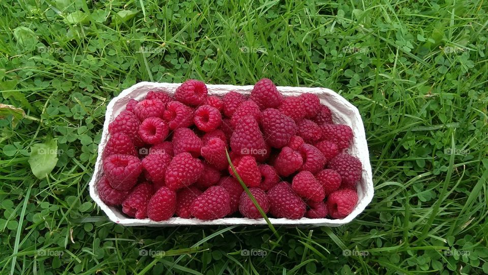 A box of natural happiness