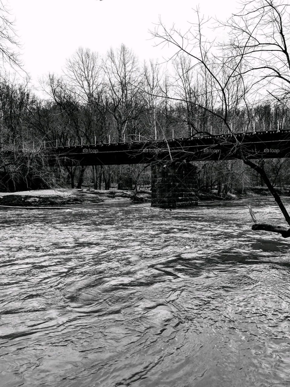 Bridge over Patapsco