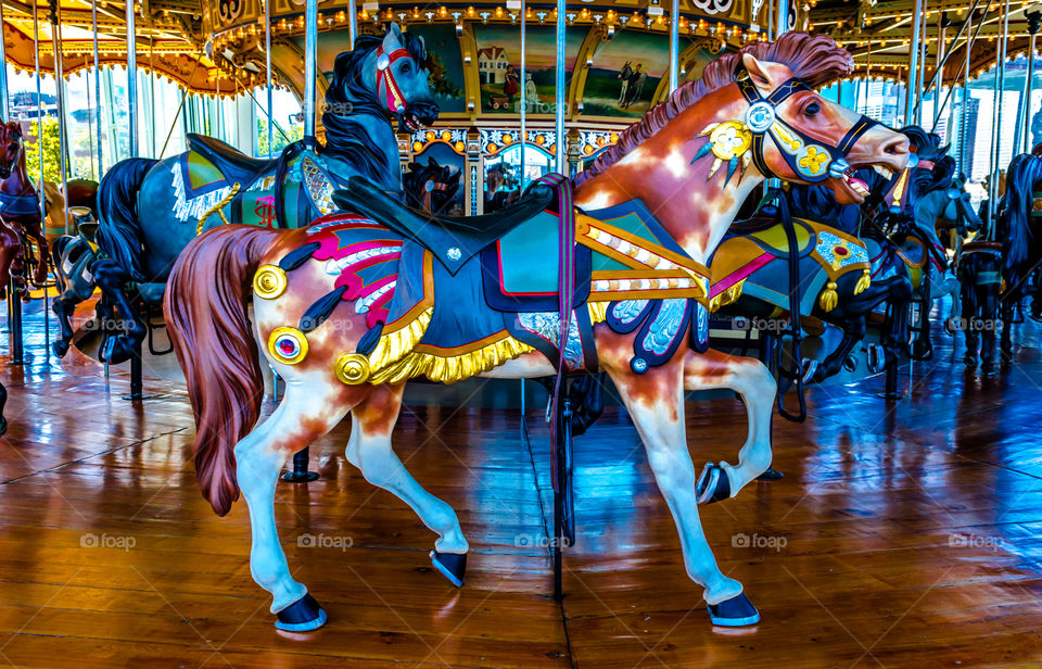 Horse Carousel NYC 4. Brooklyn Nyc