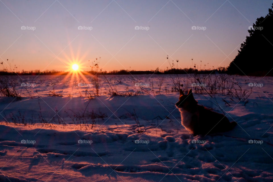 Sunset, Dawn, Water, Evening, Dusk