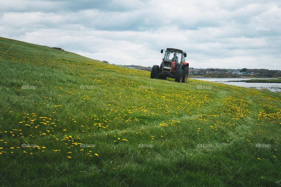 Tractor on the meadow full of flowers