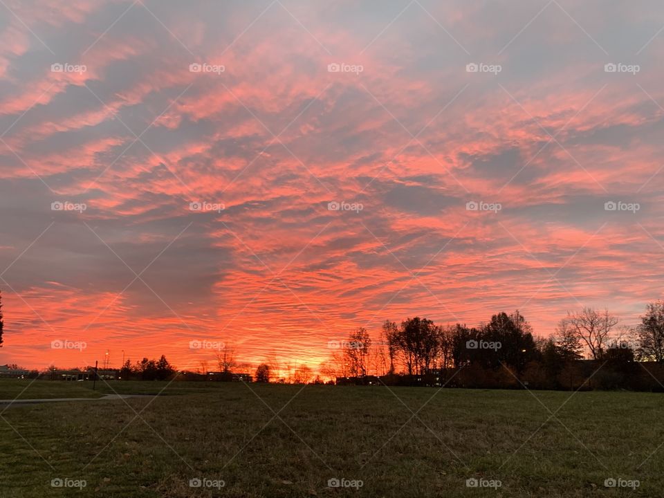 The morning sun rises in the east, no matter the weather. Today in the Midwest, the sky is full of clouds. It’s beautiful! 