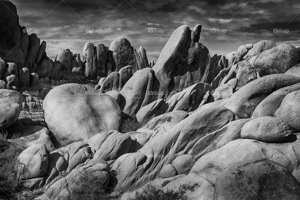 Rocks at Joshua Tree