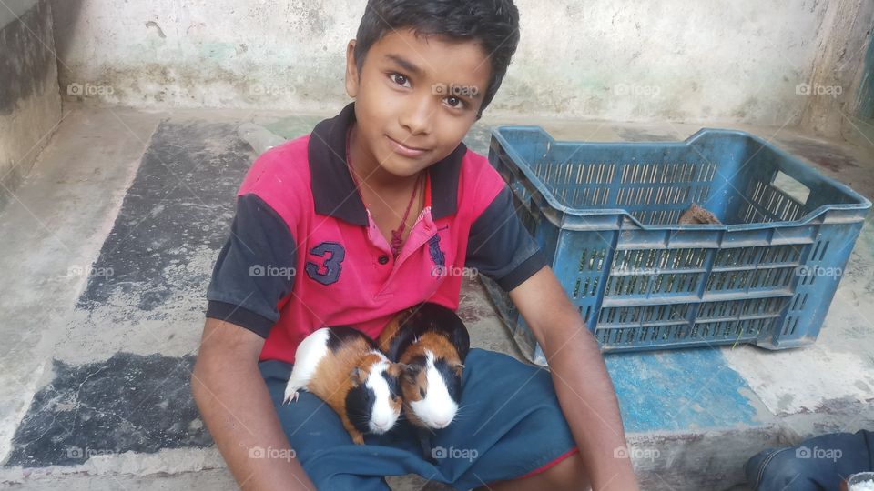 The guinea pig or domestic guinea or domestic cavy is a species of rodent belonging to the family Caviidae and the genus Cavia.
I found in Nepal.