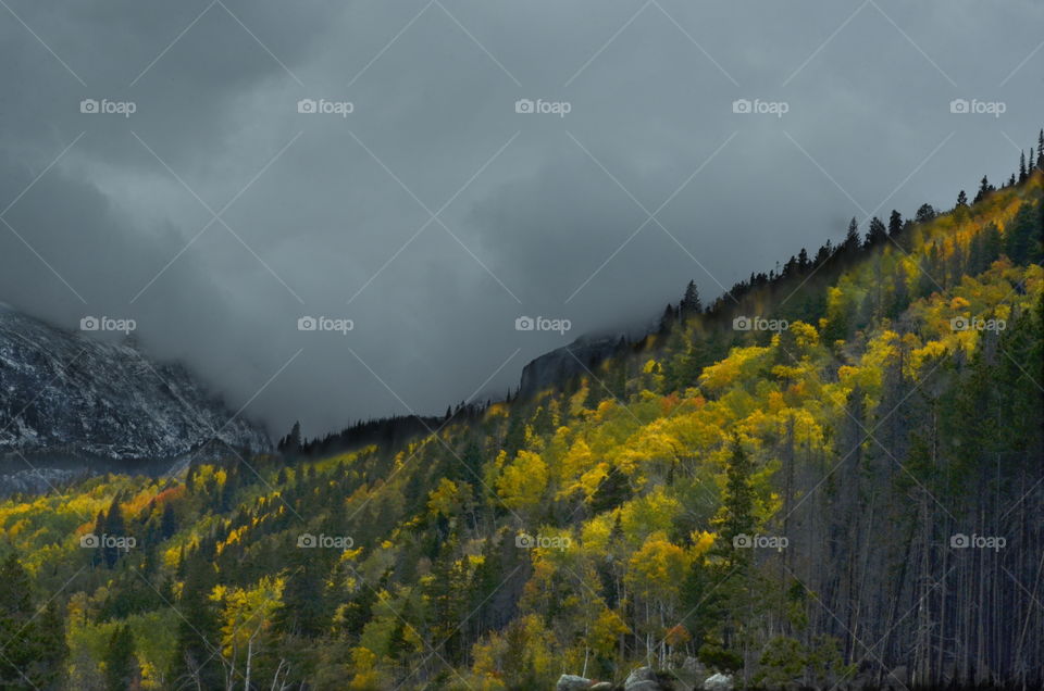 Storm Over Aspens