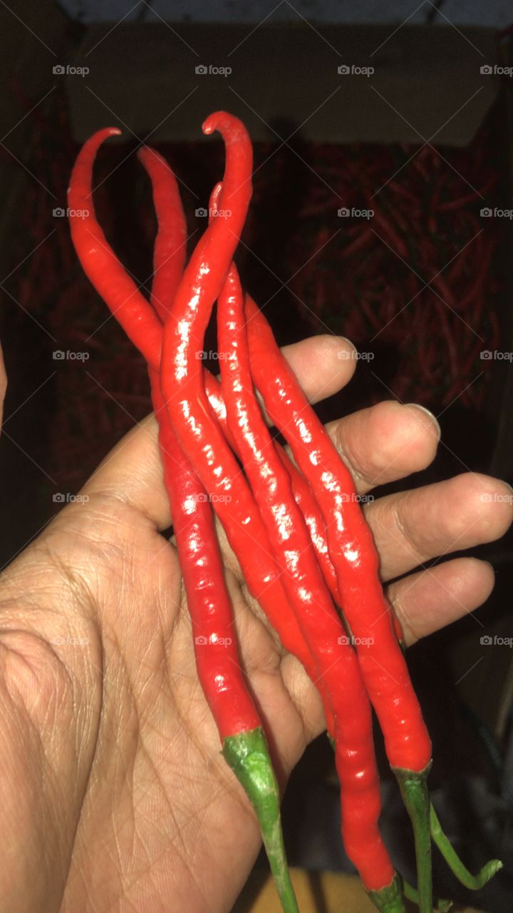 Spicy red chili 