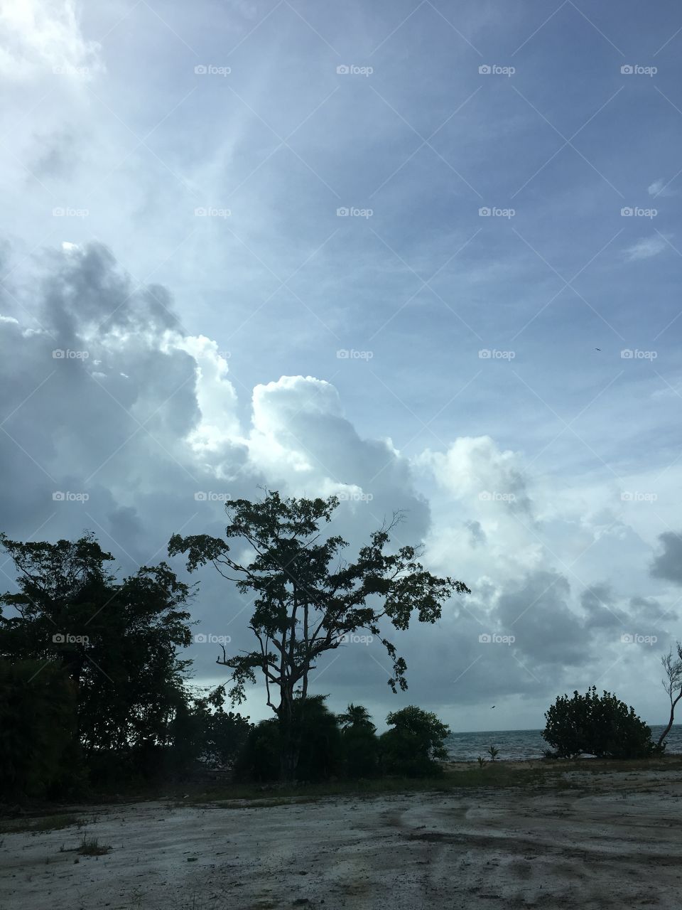 Caribbean clouds