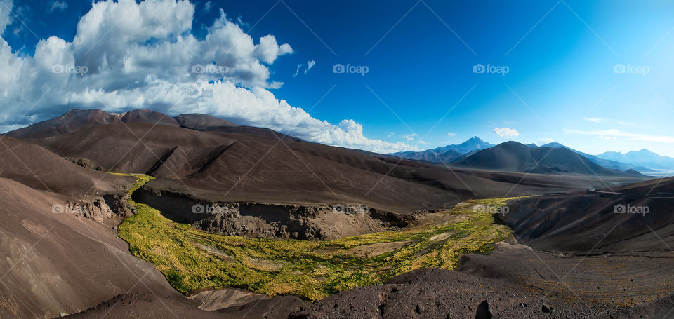 Green Nature River crossing the Atacama Desert