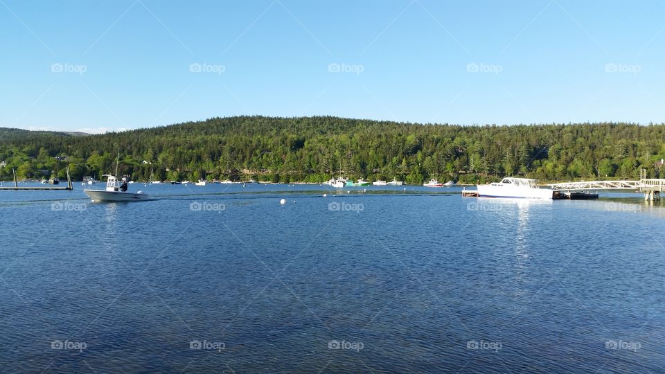 Summer getting into swing in the North Atlantic. Warm day in Bar Harbor, Maine.