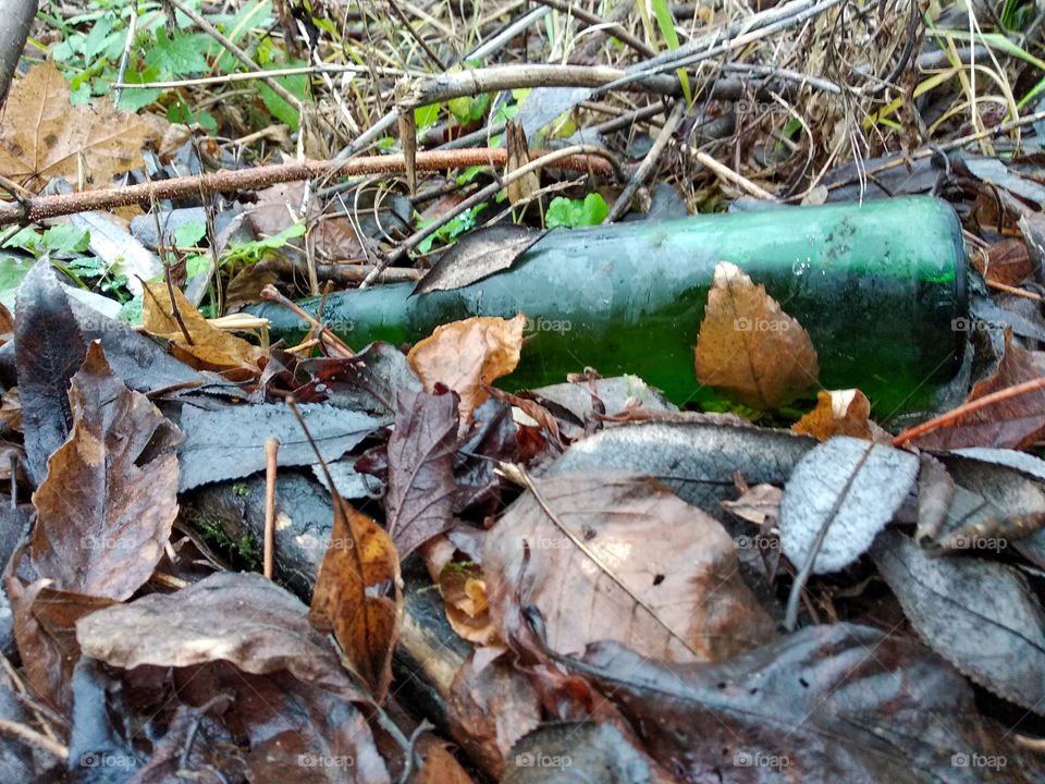 Green bottle of beer lies are on the leaves