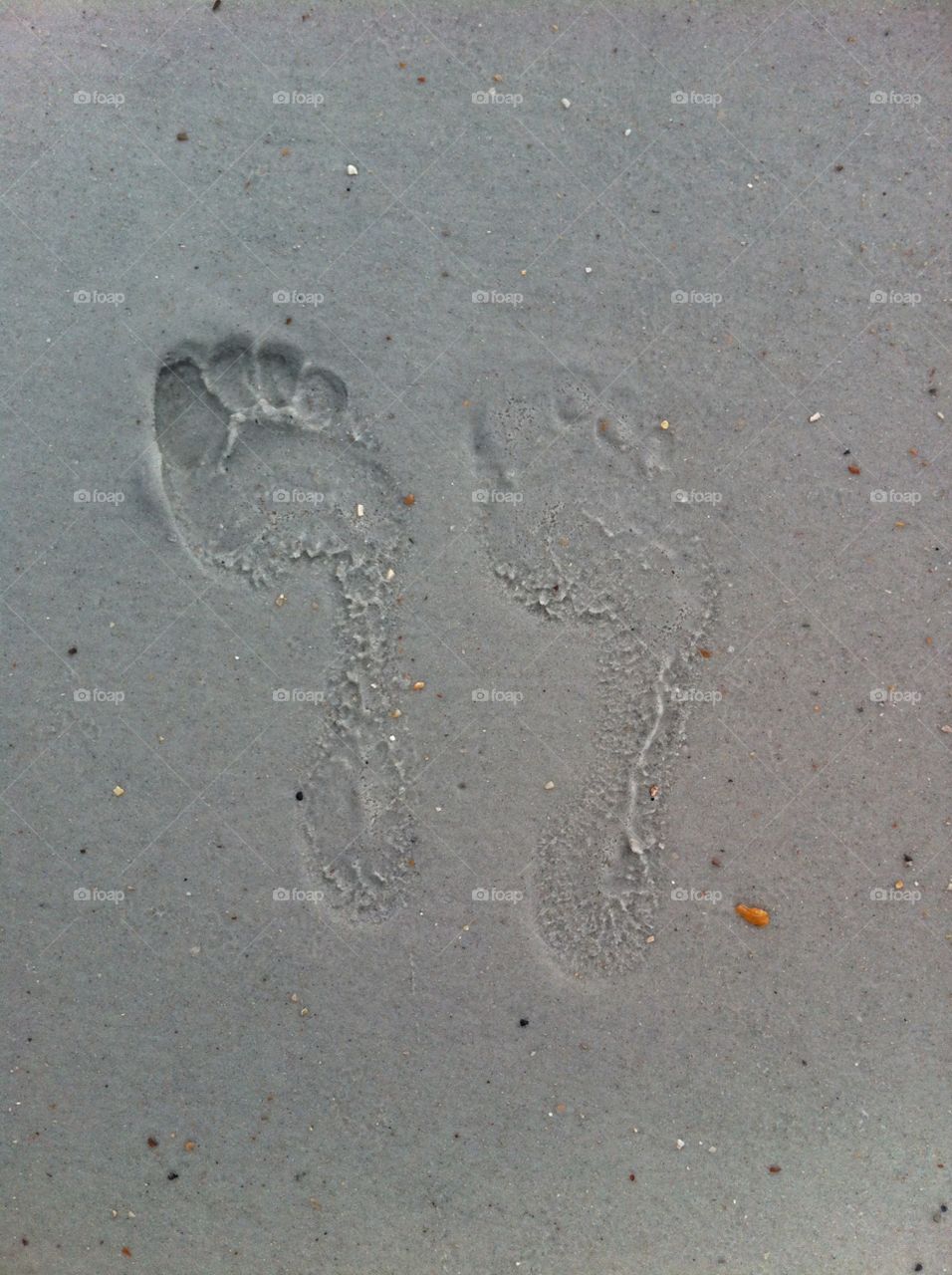 Footprint in the sand Fernandina   Bch, FL 