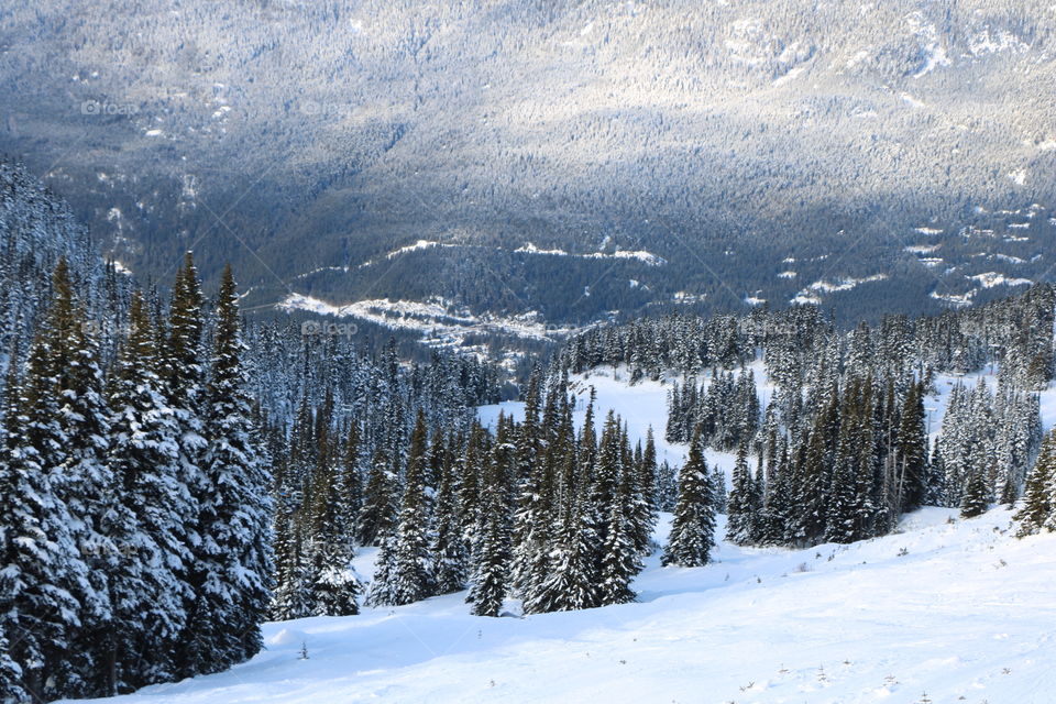 Whistler mountain with snow and evergreen forests