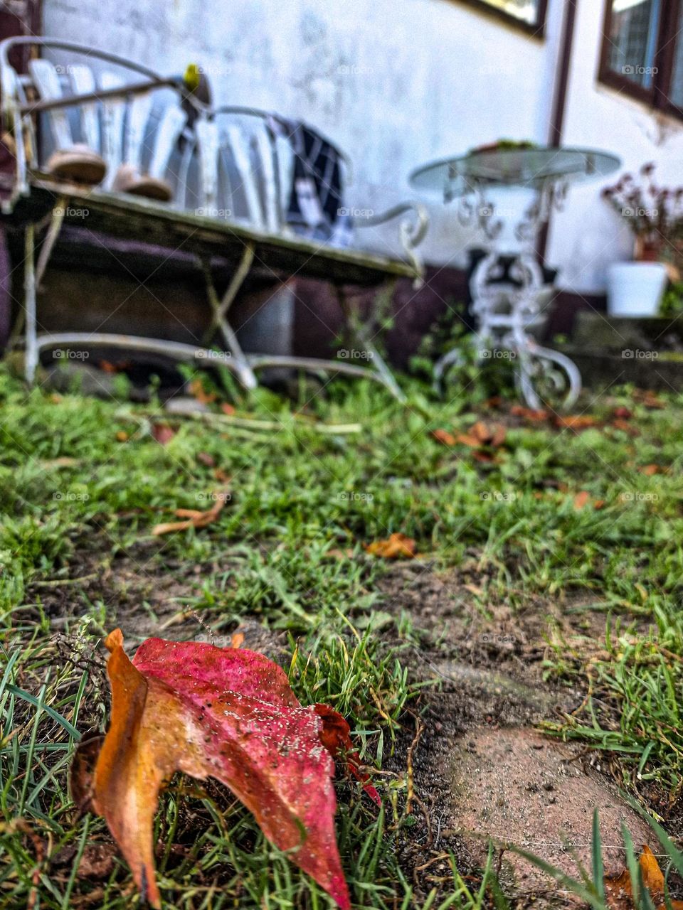 a red-orange leaf lying on a green lawn in front of a white old bench.