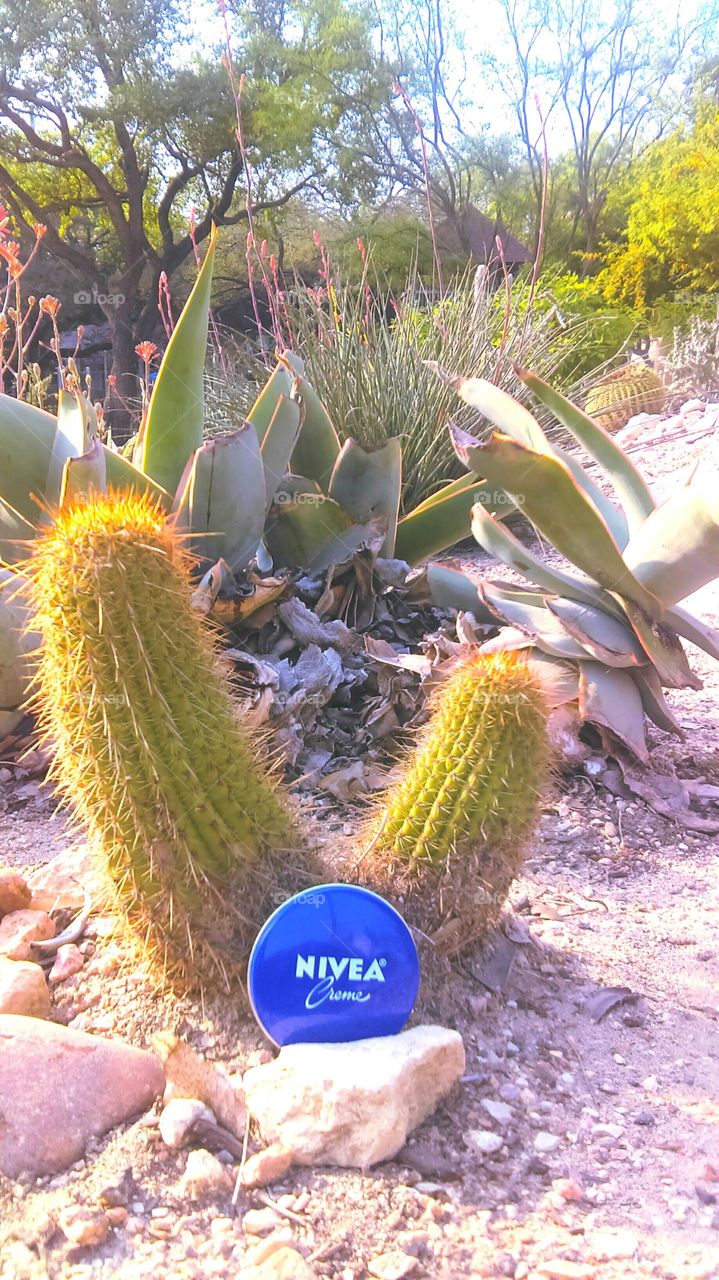 NIVEA creme