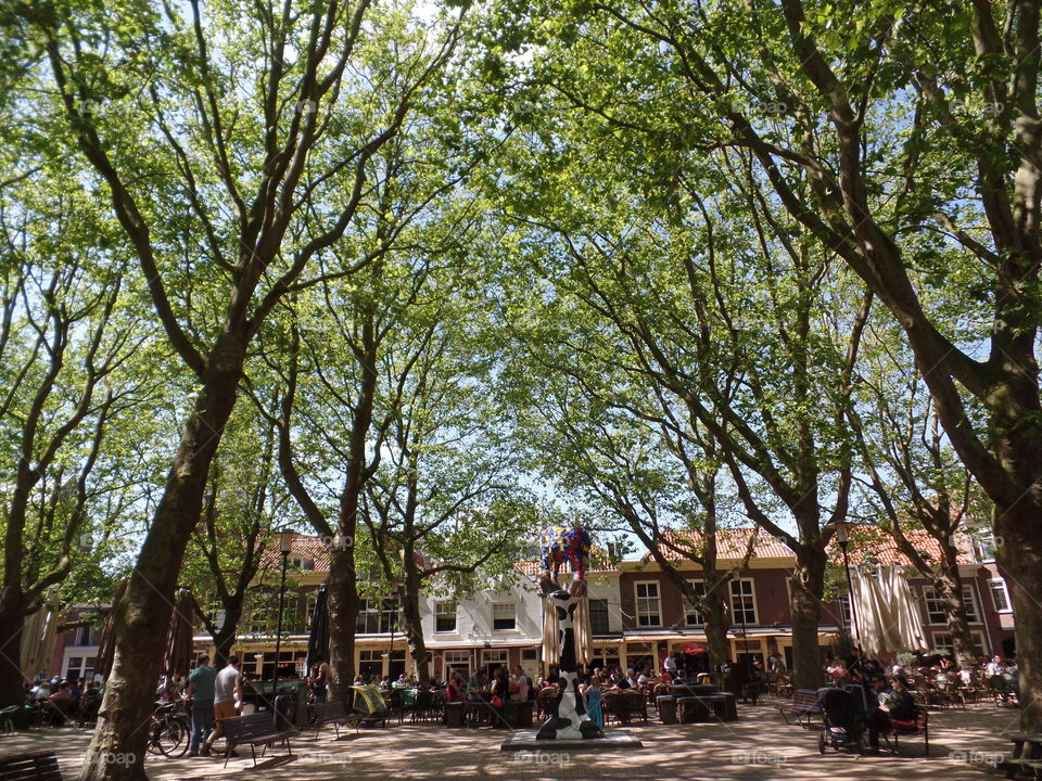 Delft summertime