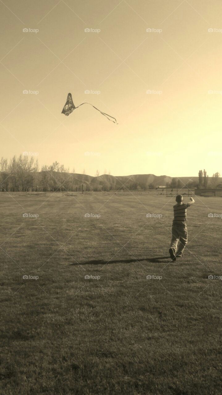 kite