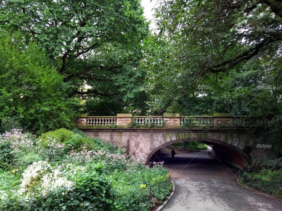  Bridge in central park 