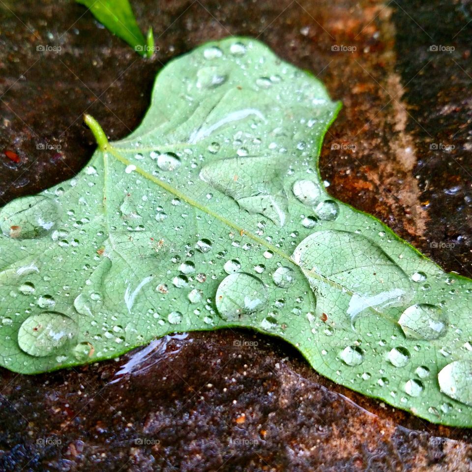 good rainy day. when a good rain happens.