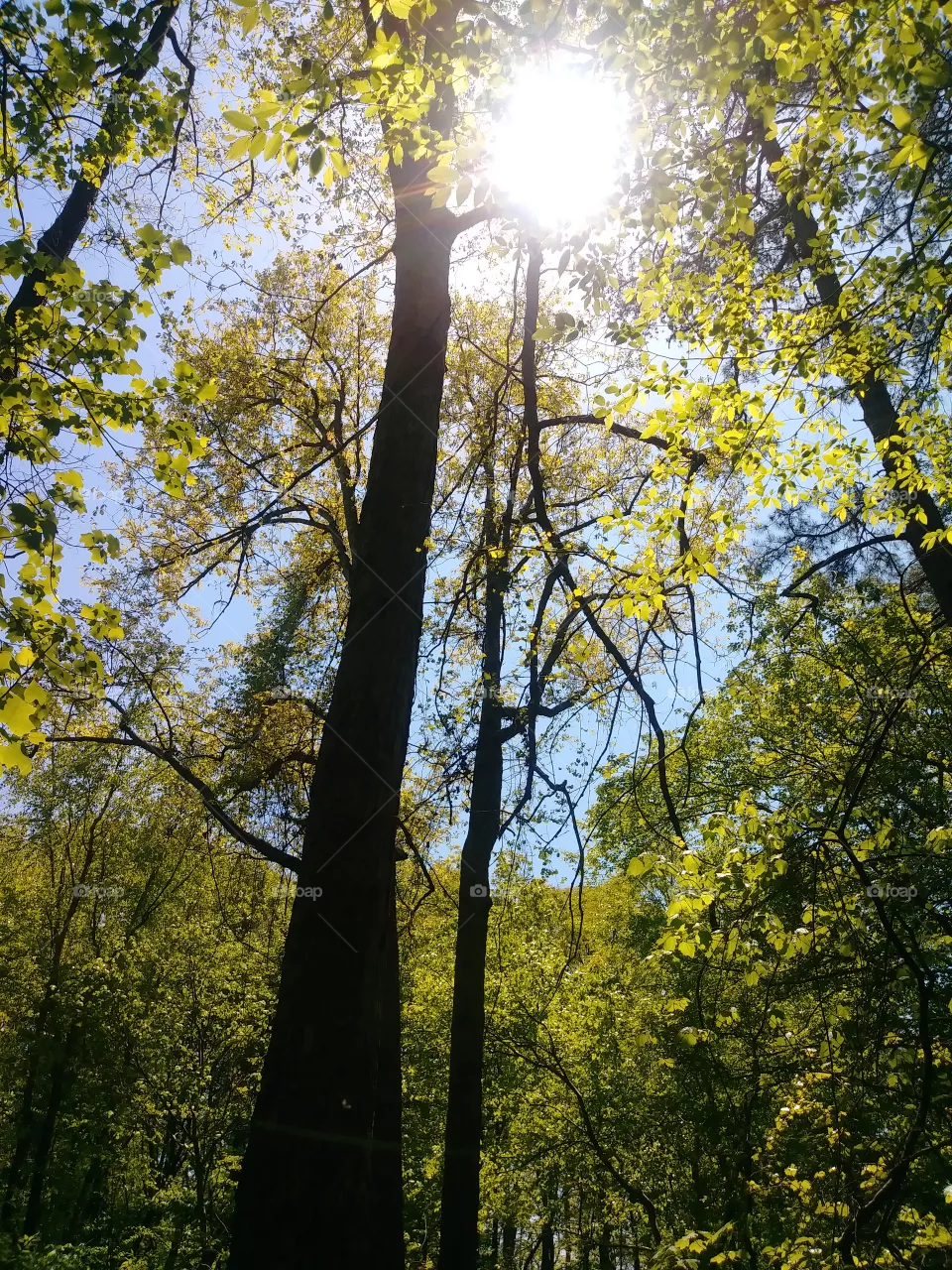 outdoors