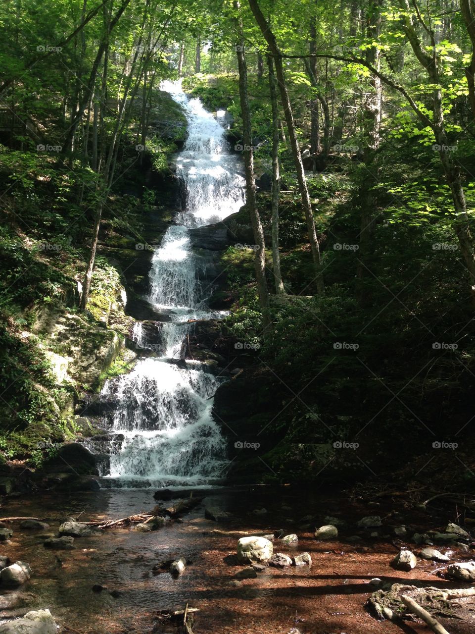 Water, Nature, Wood, Waterfall, Stream